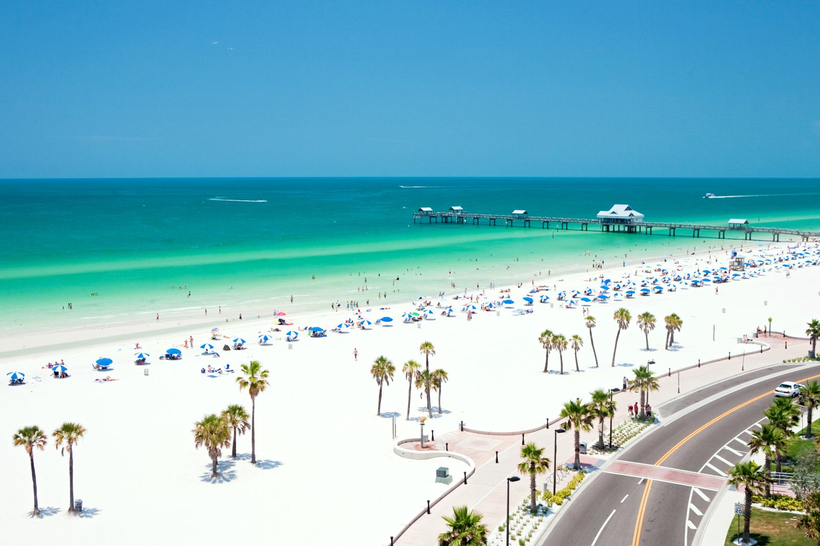 are dogs allowed on north clearwater beach