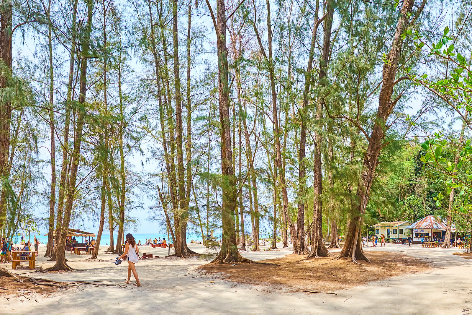 Ladies Bamboo Tops – Bamboo Island Australia