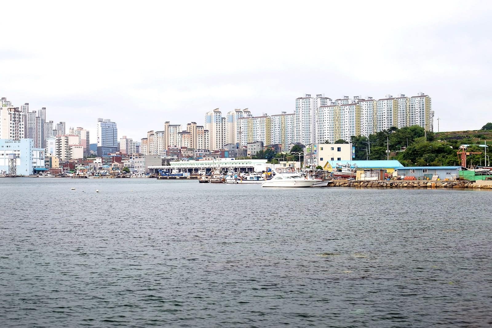 Ulsan Travel Essentials Useful Information to Help You Start Your