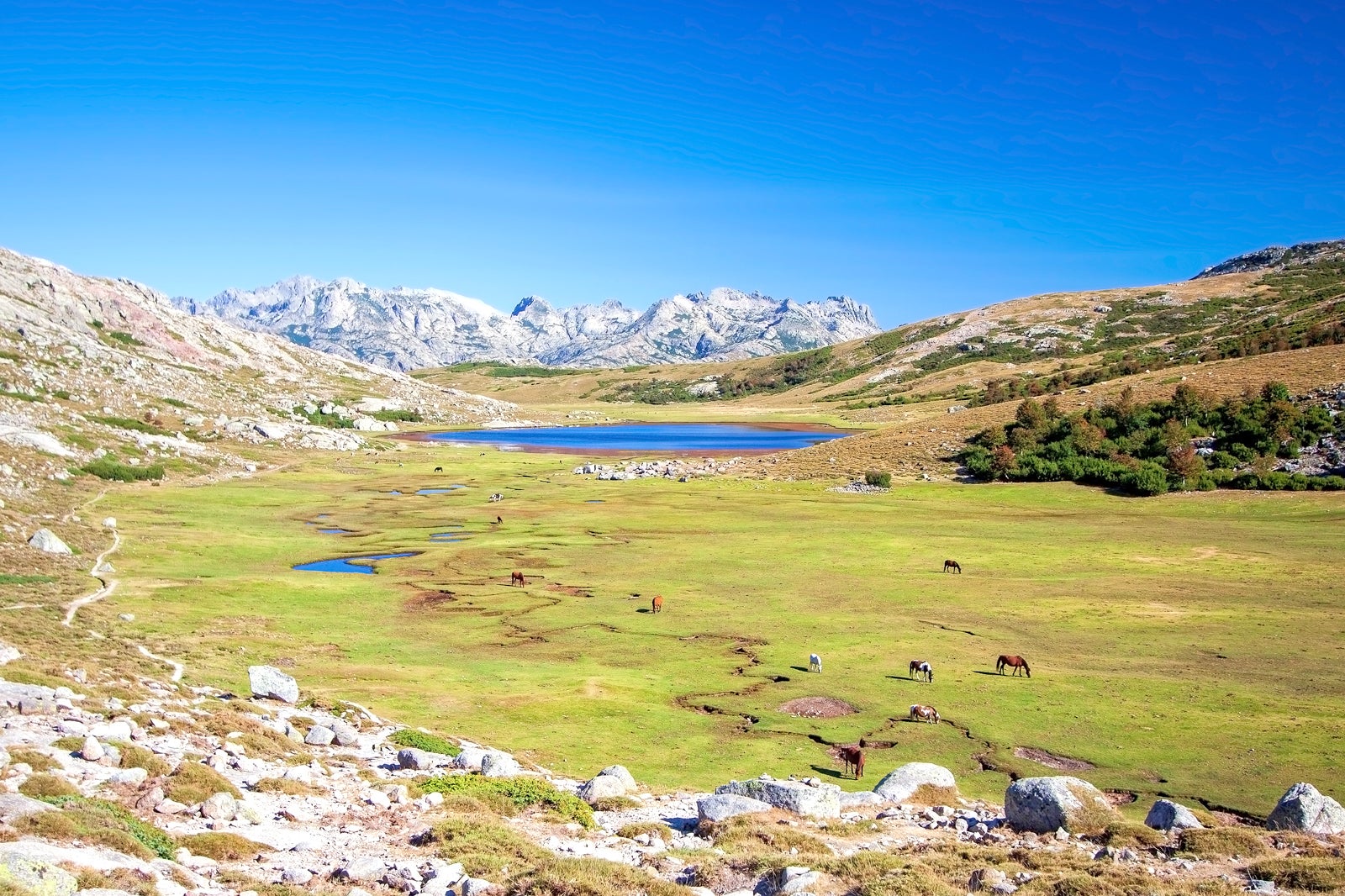 Les 10 incontournables de la Corse - À la découverte des joyaux de