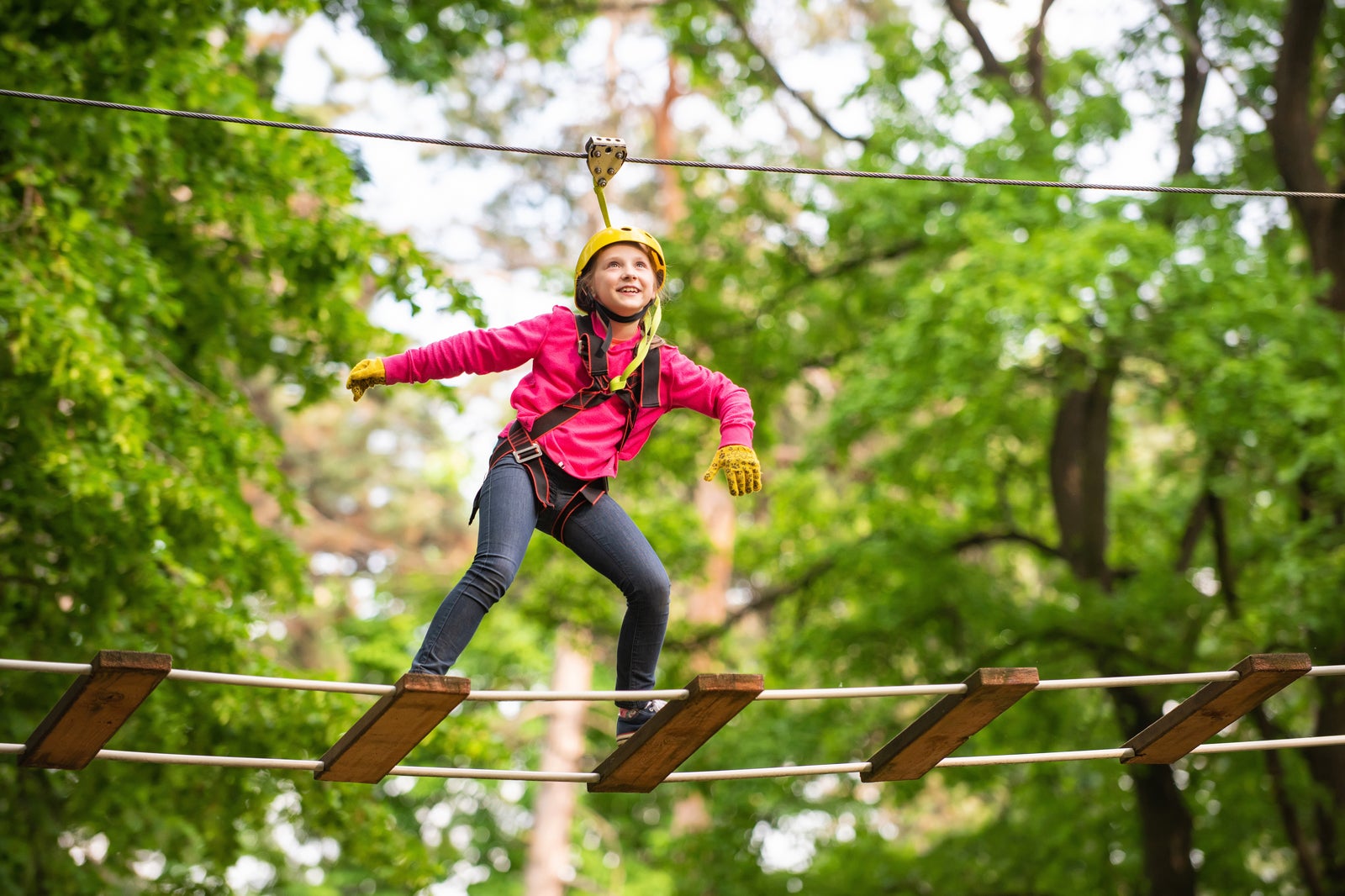 Exciting Ziplining Adventure in the year 2025