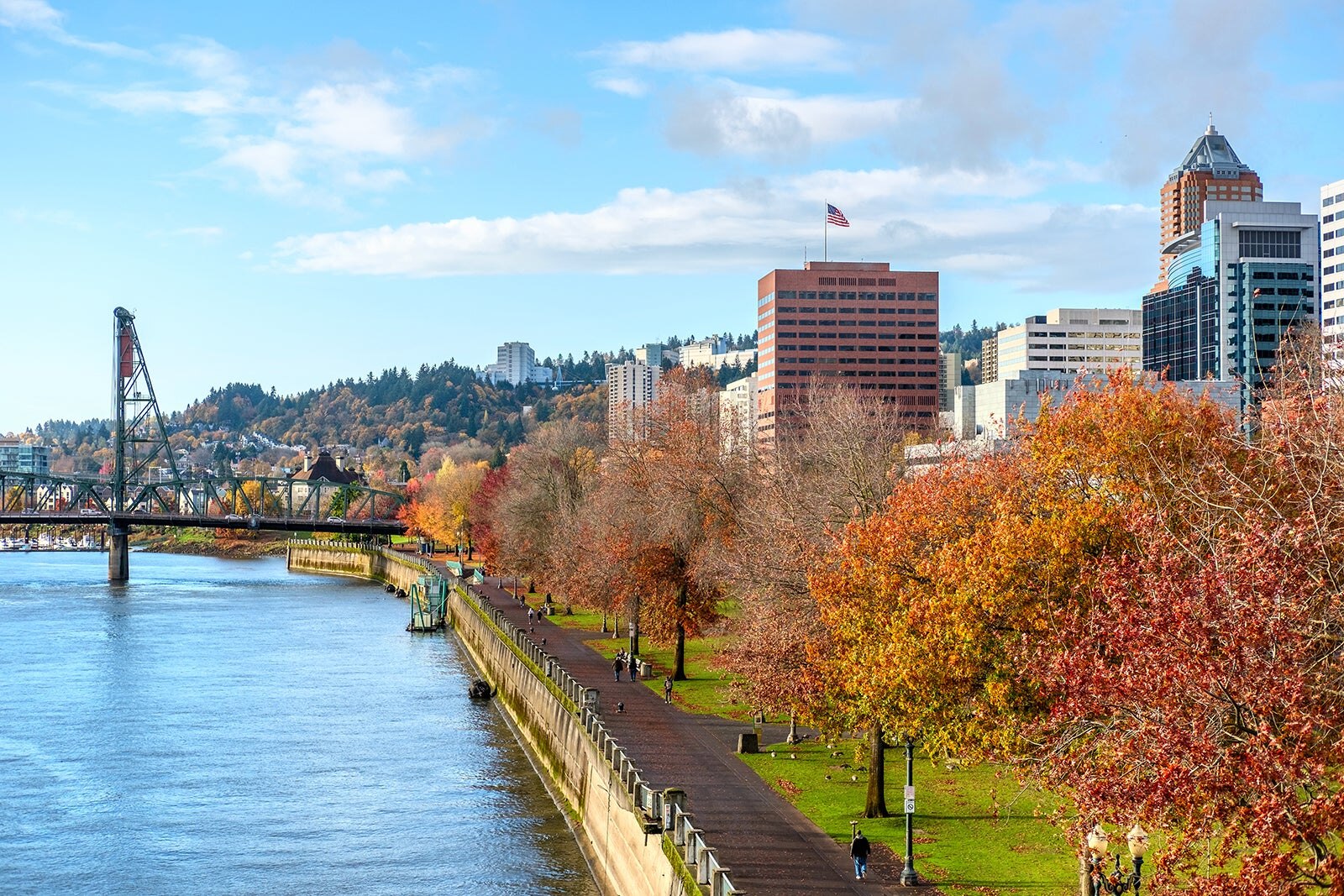 The Bridges Of Portland Oregon