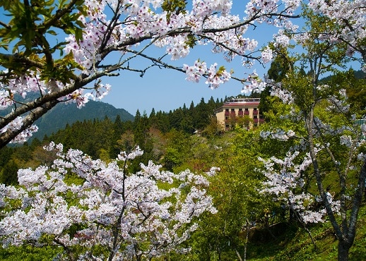 Lishan, Taiwan