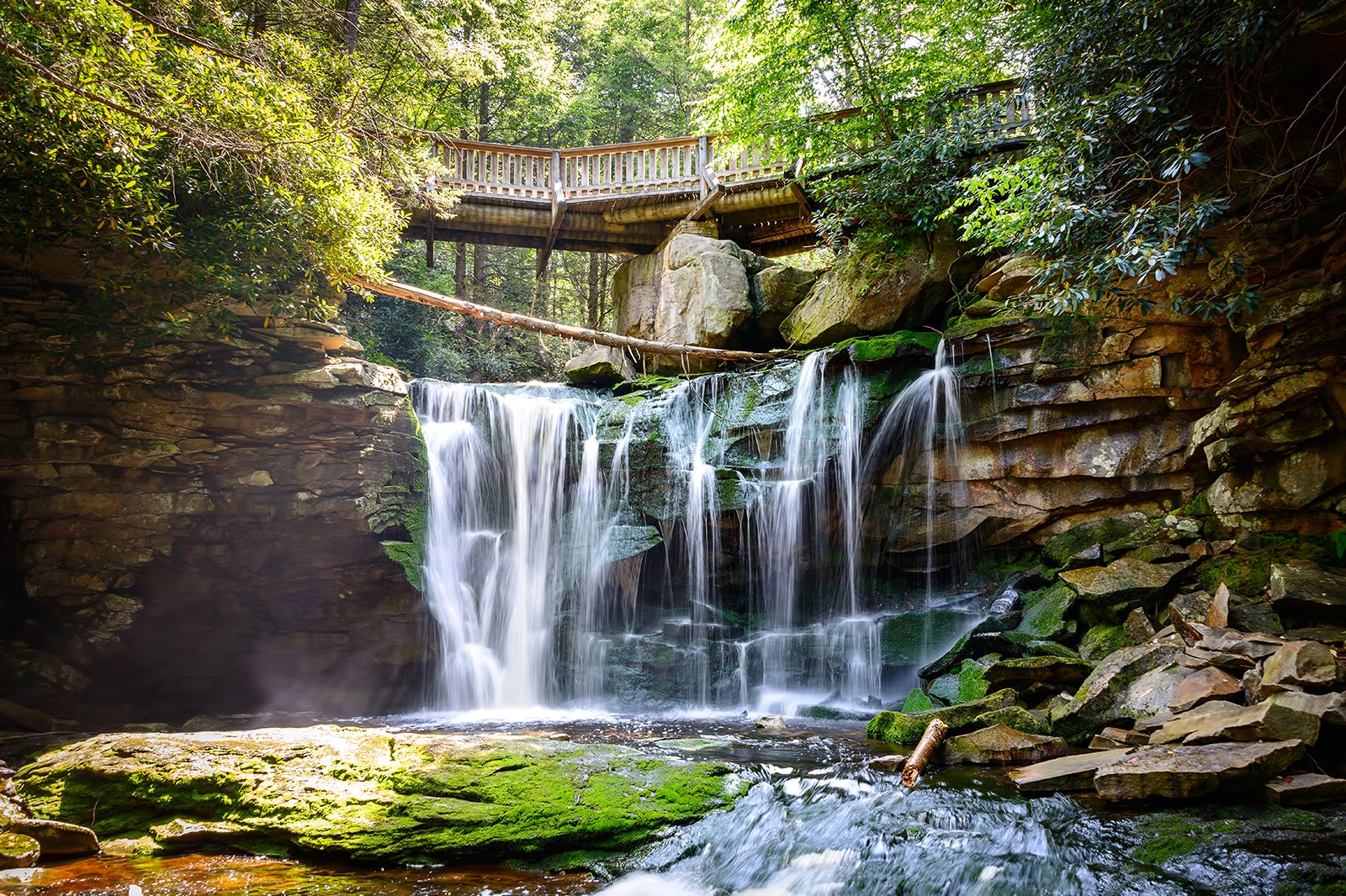 Verfeinern Kolonial Arashigaoka Whats In West Virginia Ausgaben