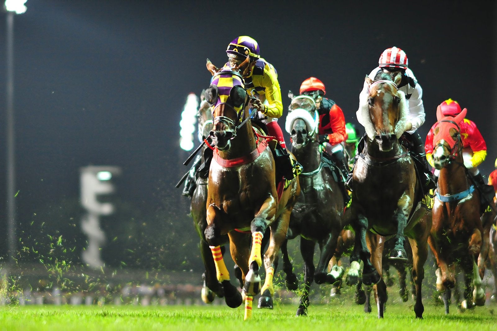 The Singapore Turf Club Horse Racing in Singapore Go Guides