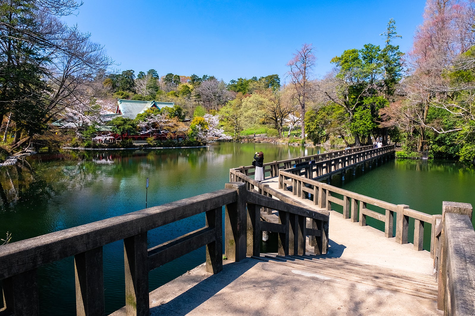 東京で人気の公園 トップ 10 都会にいながら癒しを感じられる名園巡り Go Guides