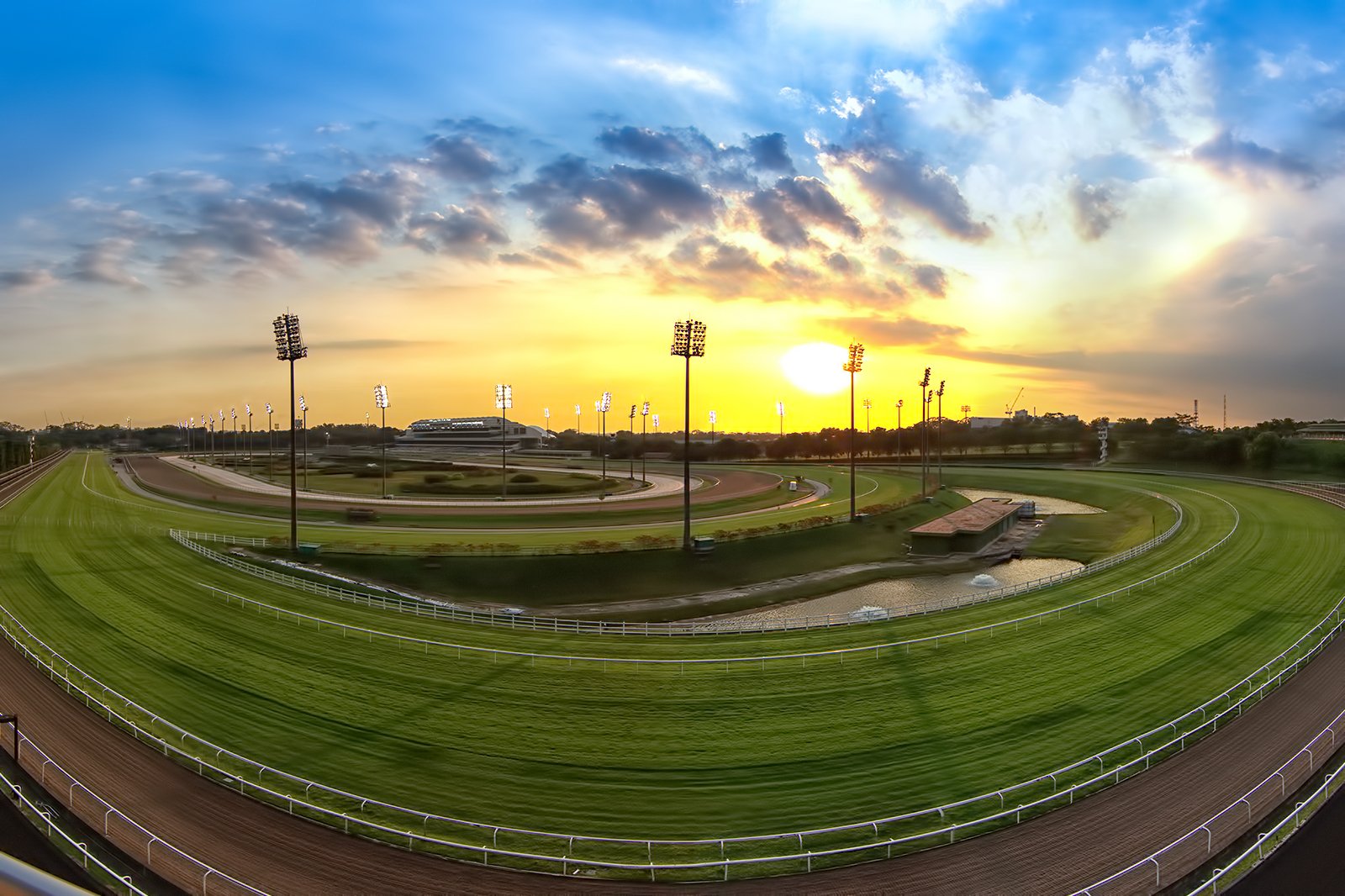 The Singapore Turf Club Horse Racing in Singapore Go Guides