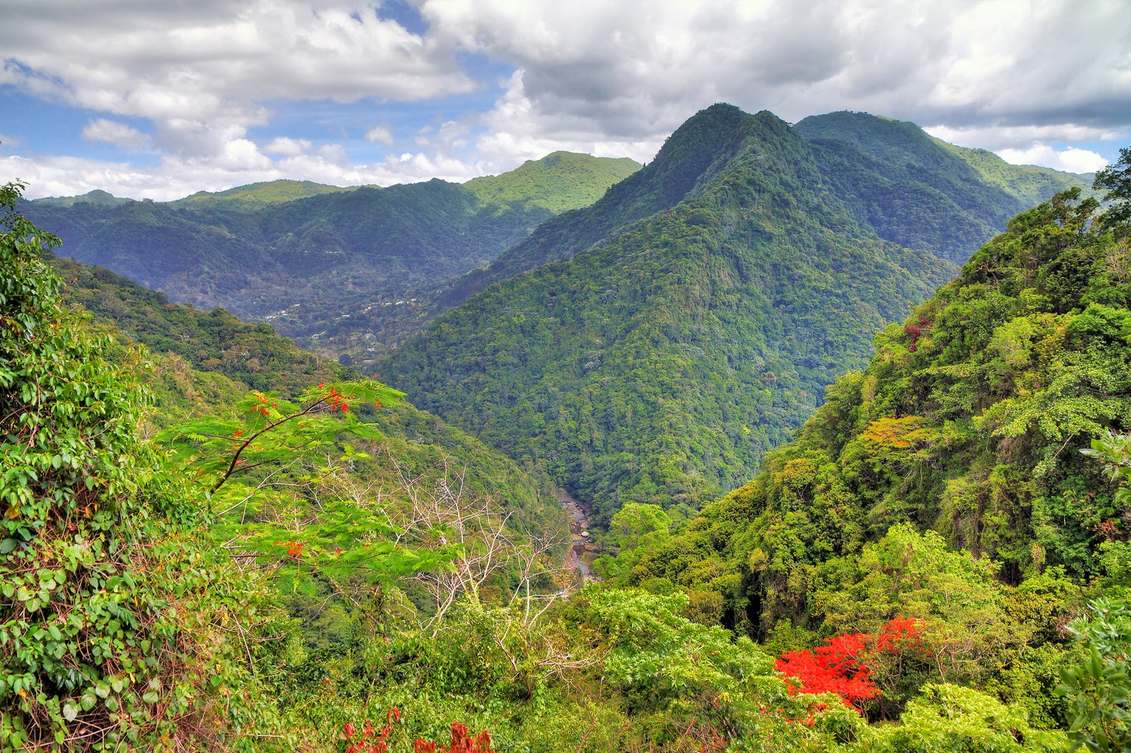 El Yunque National Forest In Puerto Rico Explore A Lush Tropical 