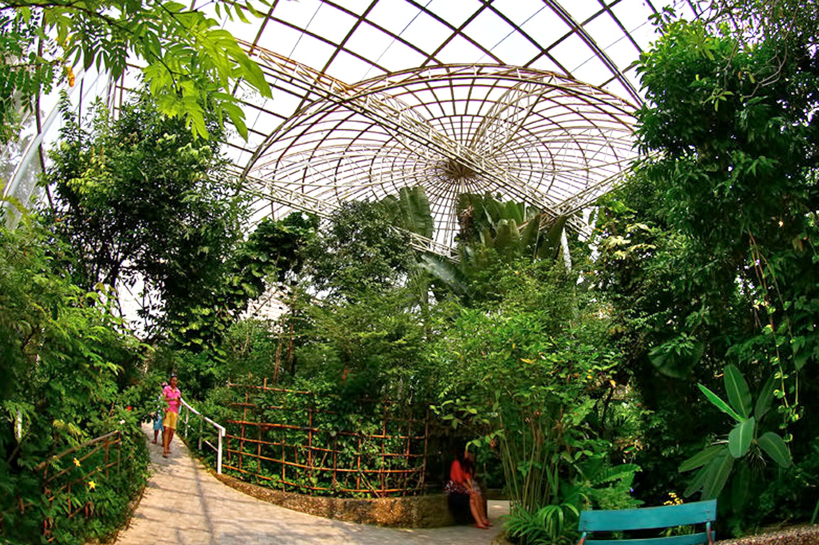 Bangkok Butterfly Garden Insectarium Admire The Beauty Of