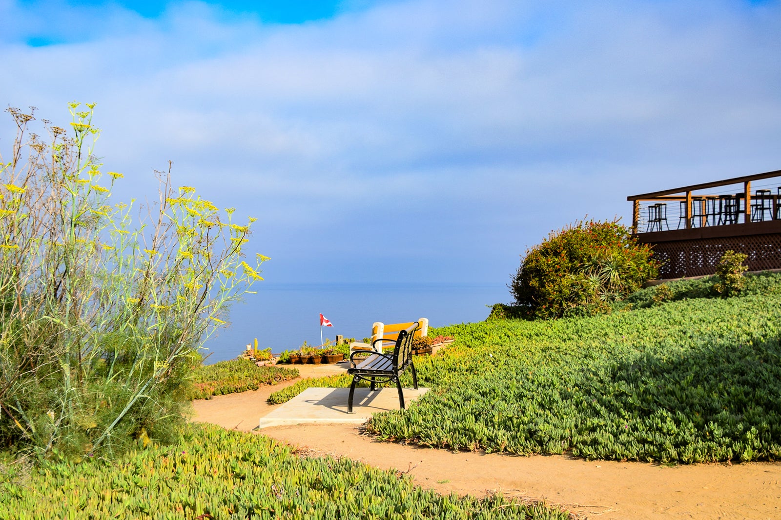Torrey Pines Gliderport - Soar Over the Skies of San Diego on a ...