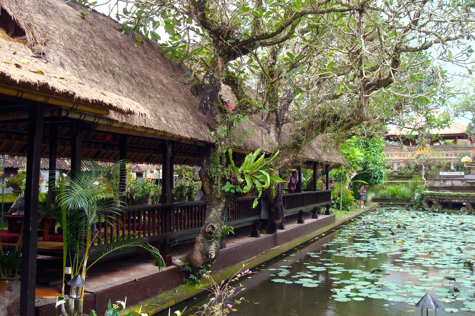 Taman Saraswati Temple In Bali Central Landmark Temple In Ubud