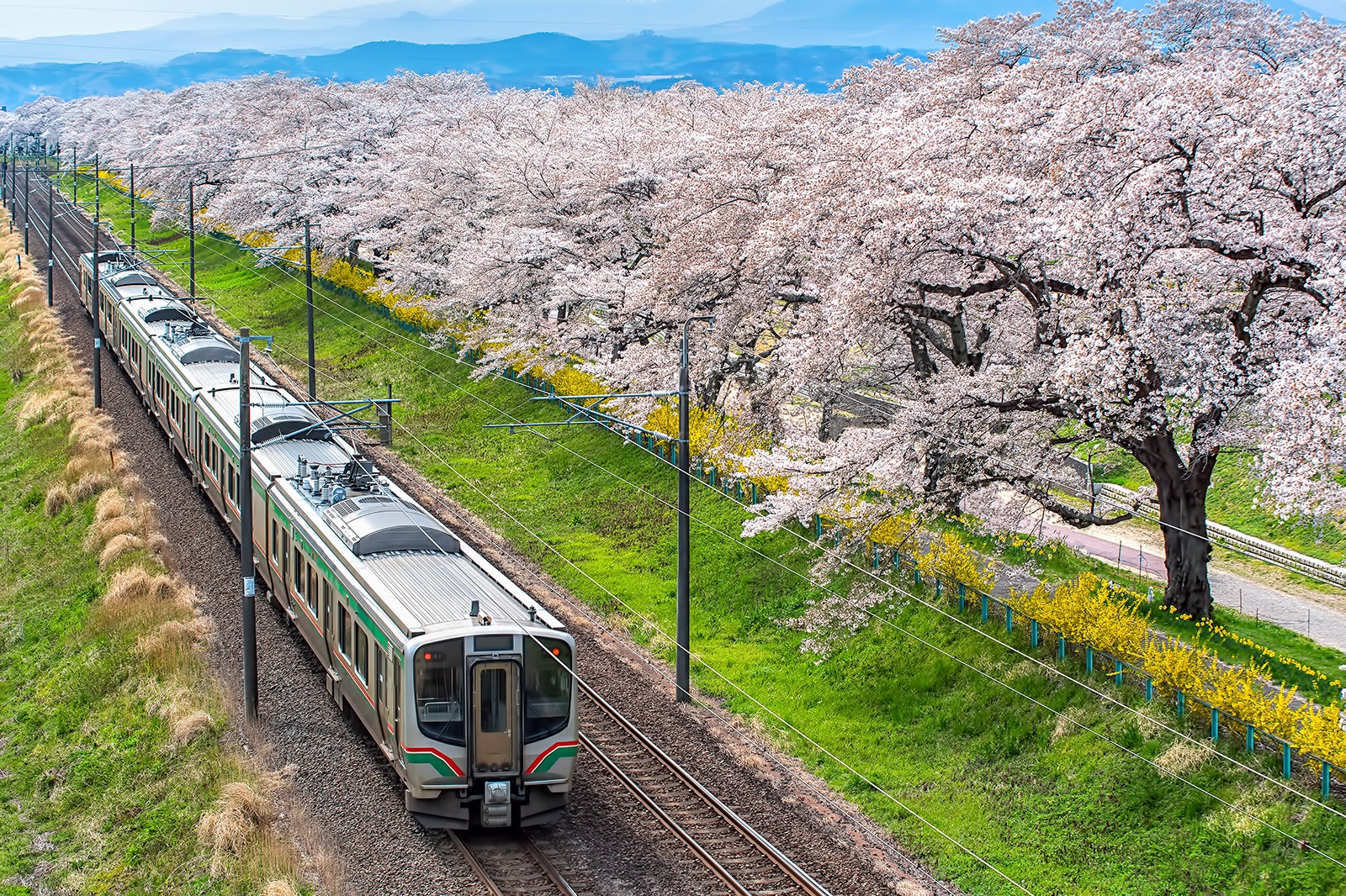 Sendai Travel Essentials - Useful to Help You Start Your Trip to Sendai ...