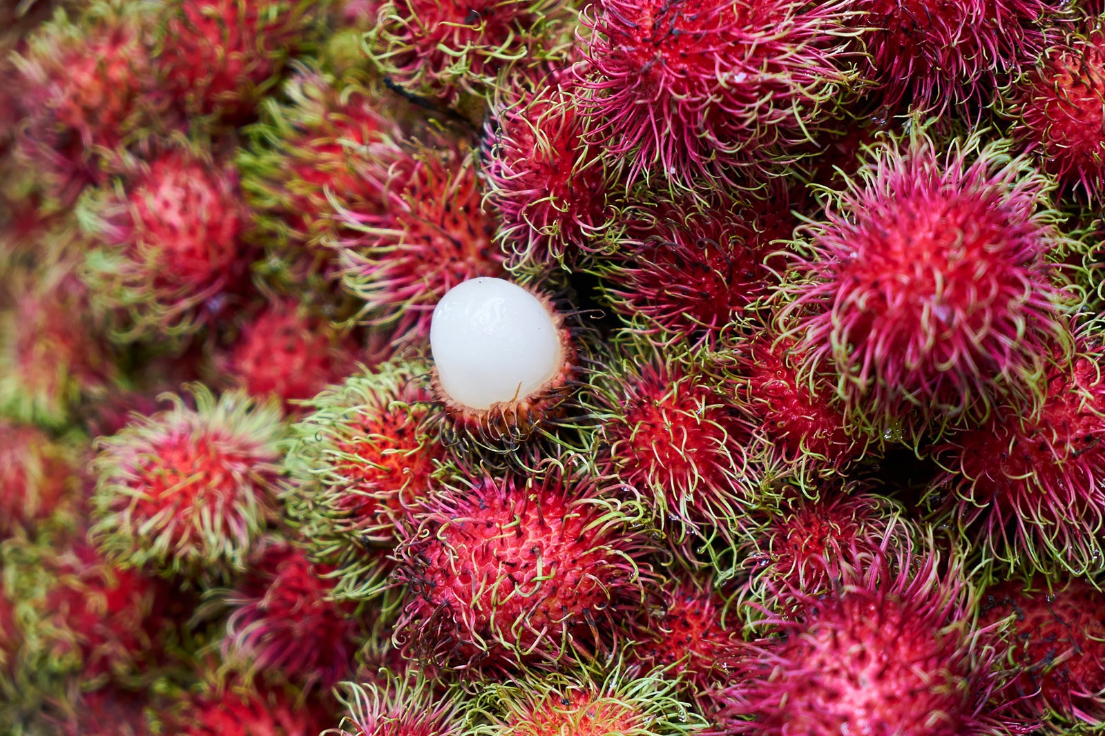 Red Spiky Fruit