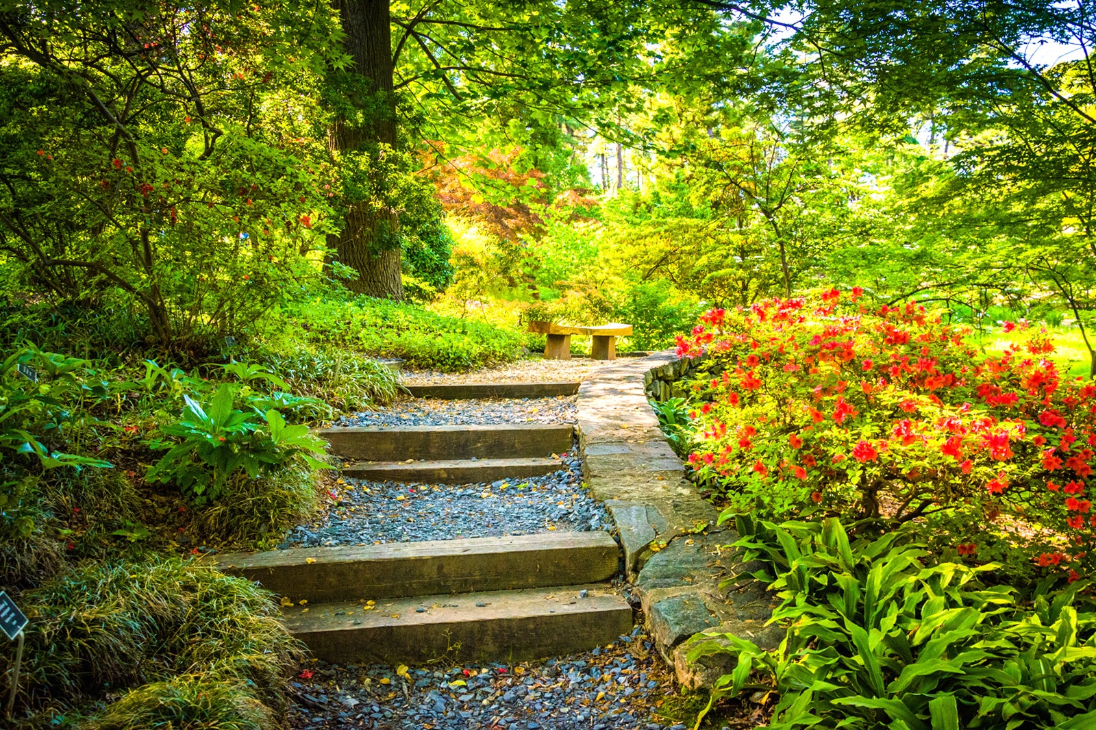 United States National Arboretum In Washington Dc Explore A National