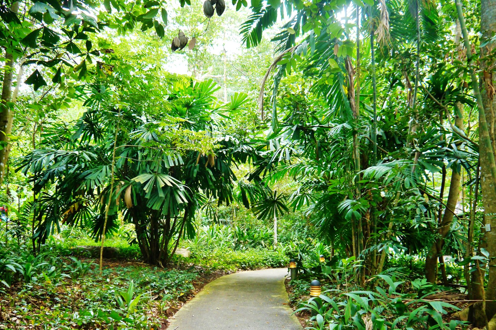 are dogs allowed in bukit timah nature reserve