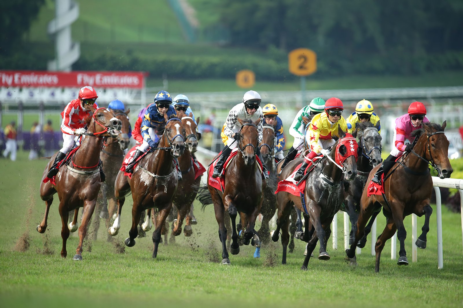 The Singapore Turf Club Horse Racing in Singapore Go Guides