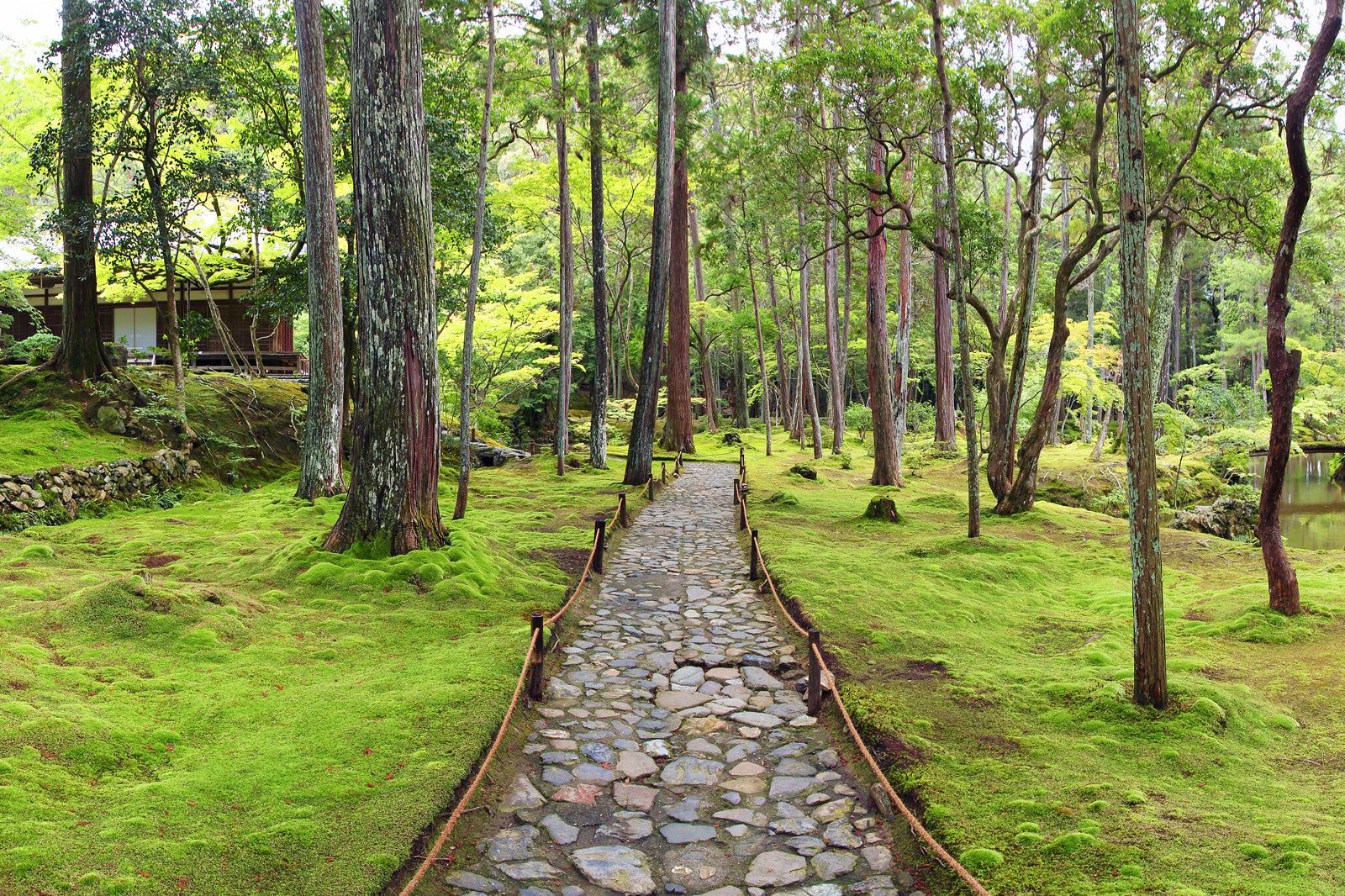 京都の公園おすすめ 10 選 自然あふれる園内で季節の風景をめでる Go Guides