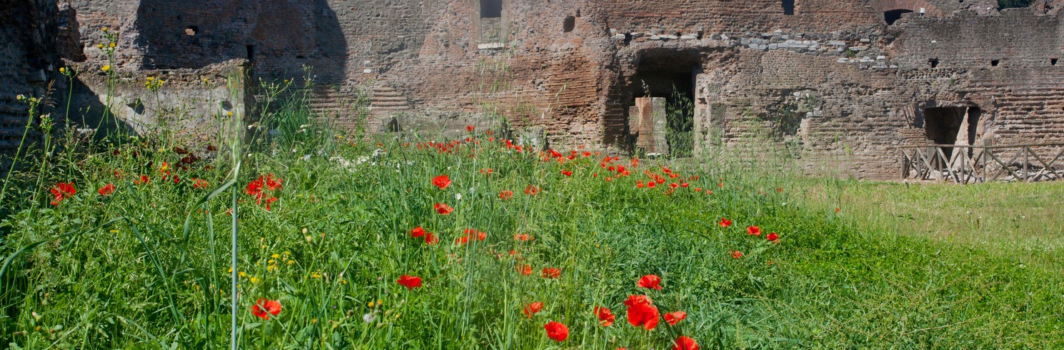 Rome, Italy