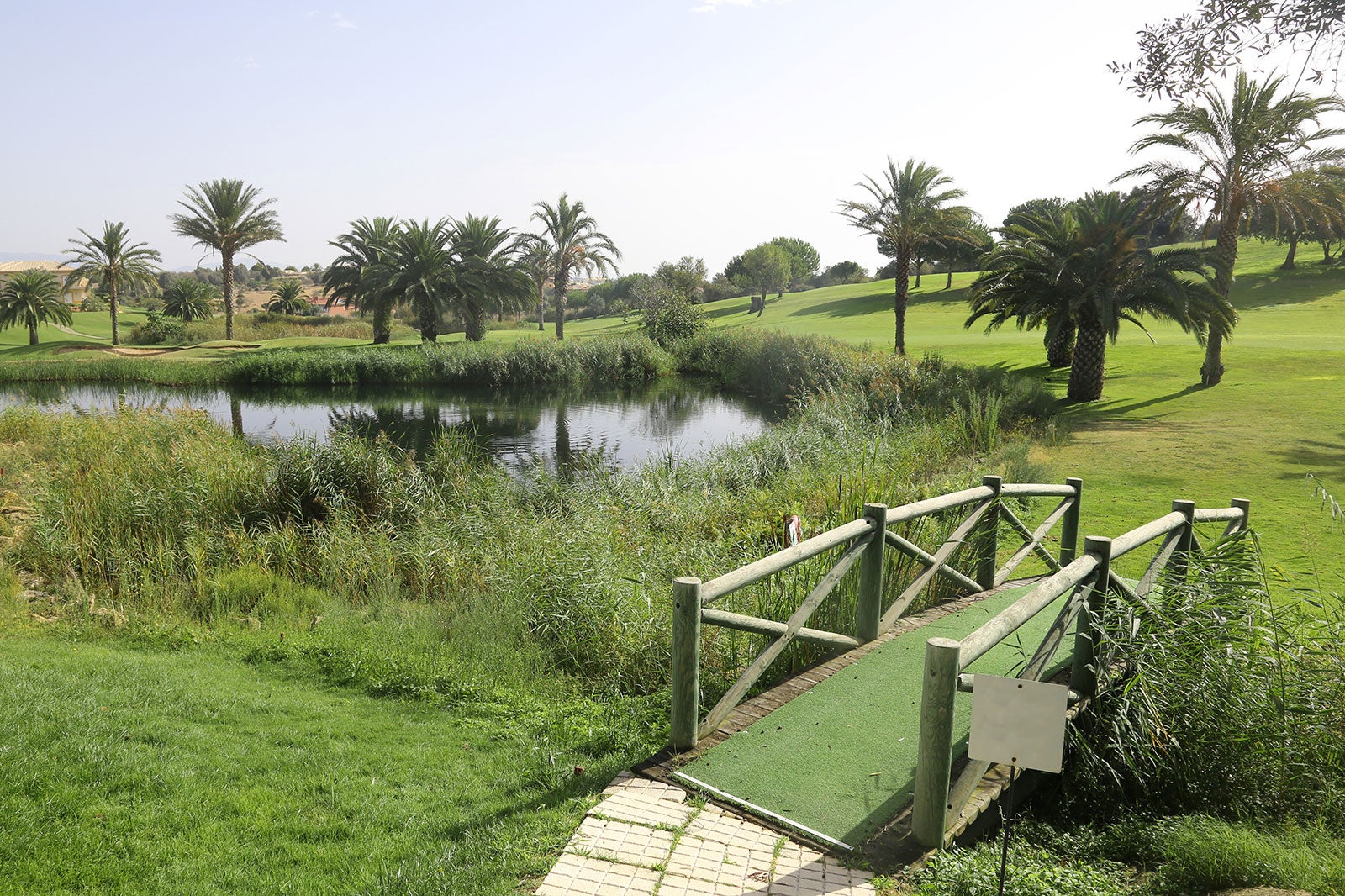 10 Best Golf Courses in Florida - 32290293 B09d 4917 A75f 97ffbcf923d6 