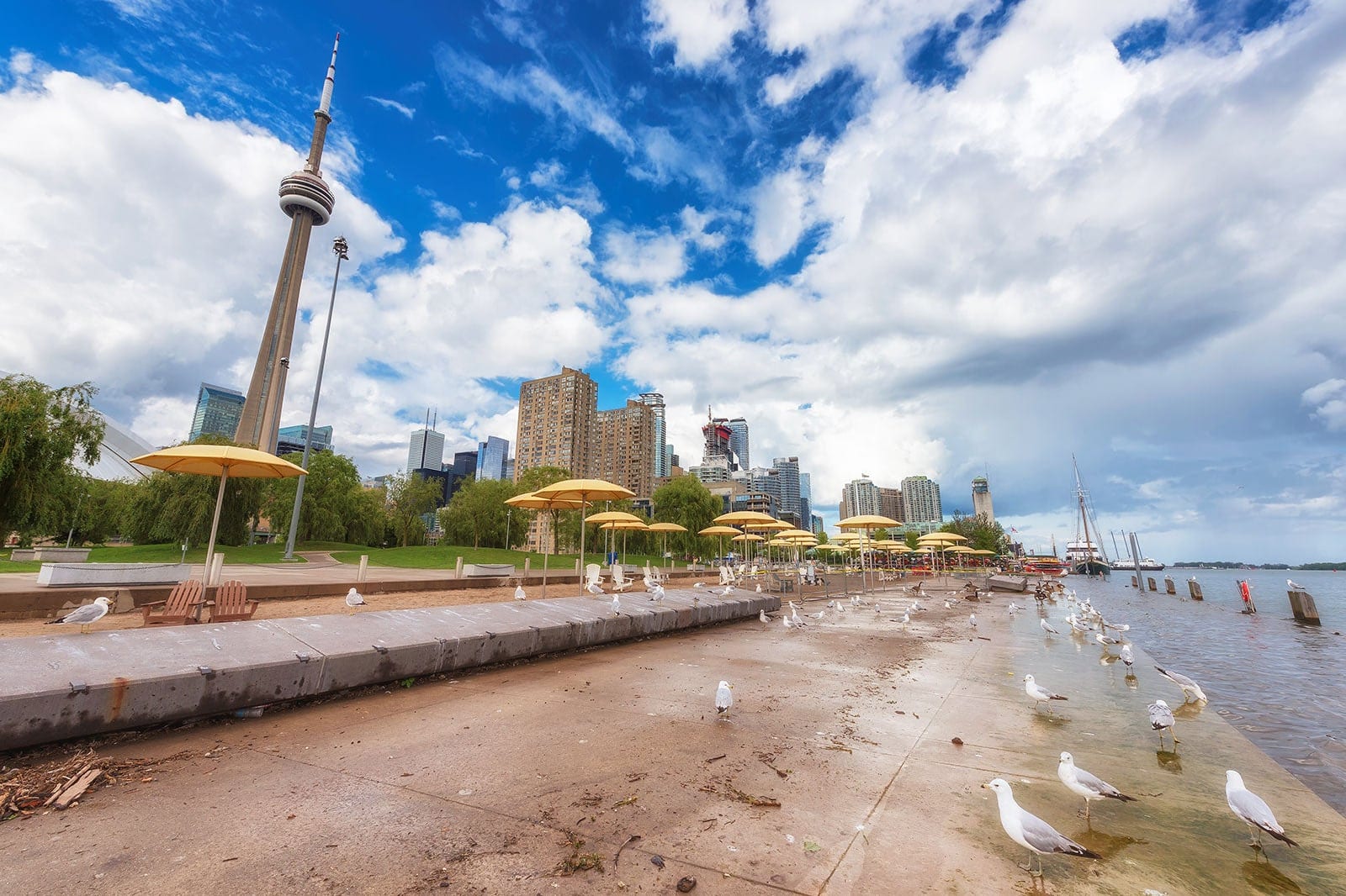 Toronto Rios 10 Best Beaches in Toronto - What is the Most Popular Beach in Toronto ...