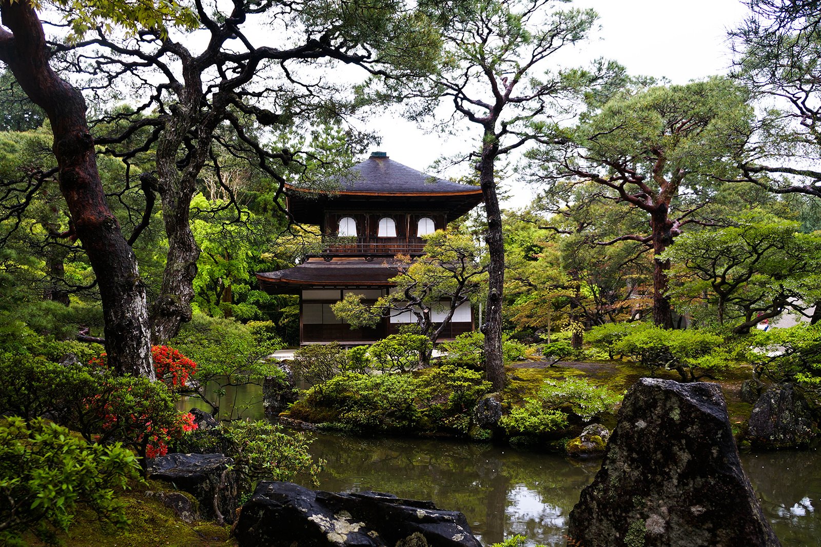 京都の人気観光スポット トップ 10 地元の人おすすめの京都で必ず訪れたい見どころガイド Go Guides