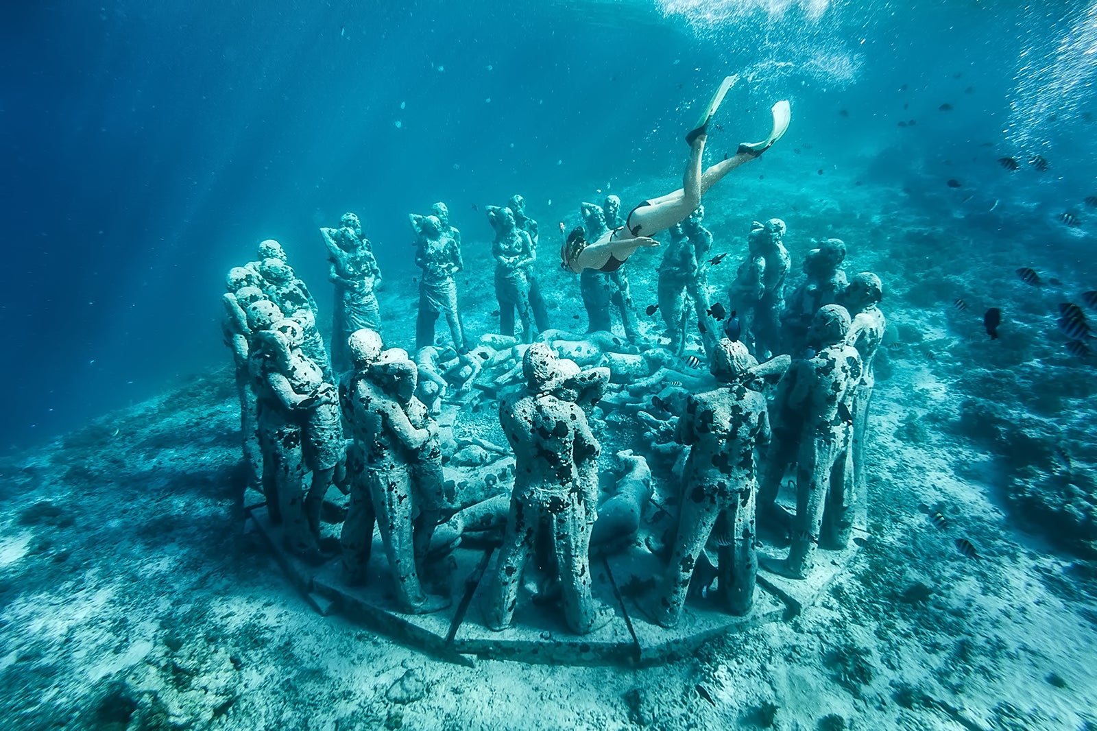 8 Amazing Underwater Sculptures and Gardens in Bali - Great Bali