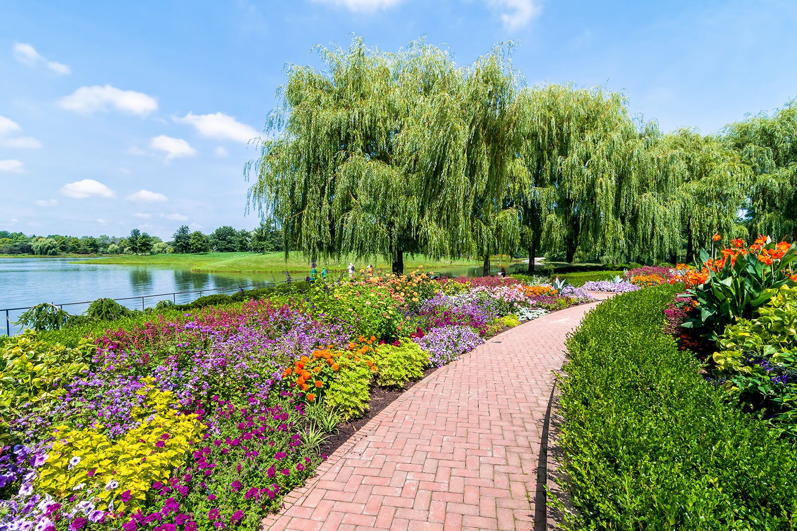 Rain Gardens  Chicago Botanic Garden