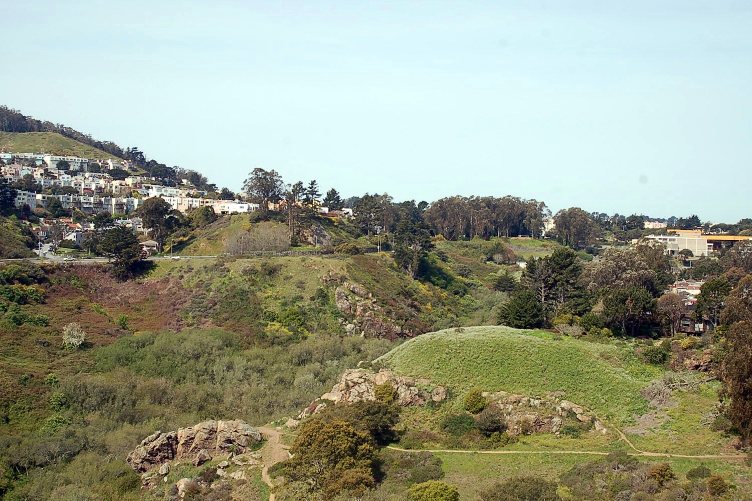 Glen Canyon Park in San Francisco Walk the Trails of a Deep, Lush