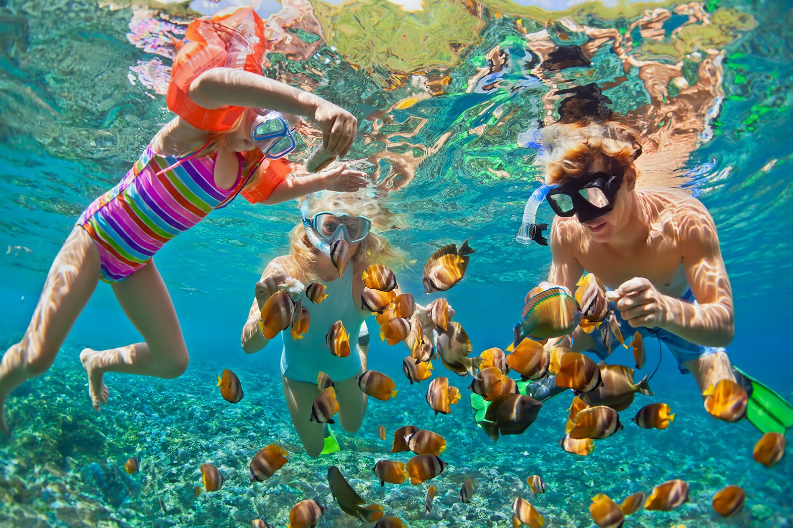 phuket snorkelling tours