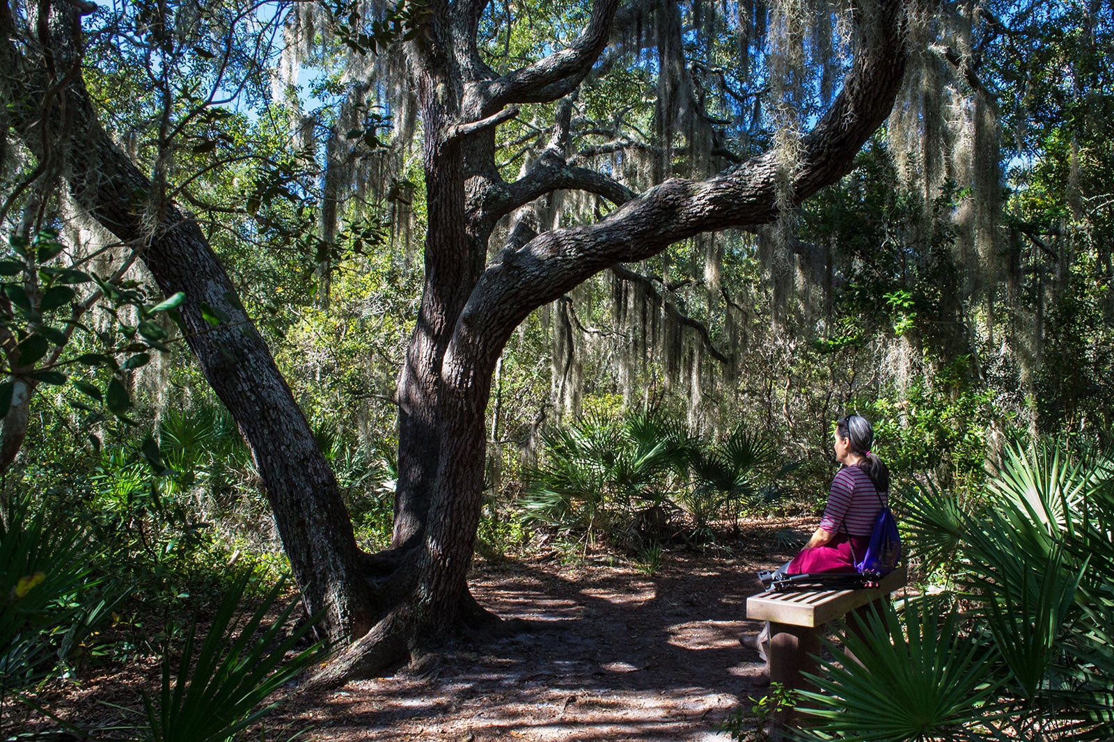 10 Best Hidden Gems in South Carolina Where to Discover the Best Kept