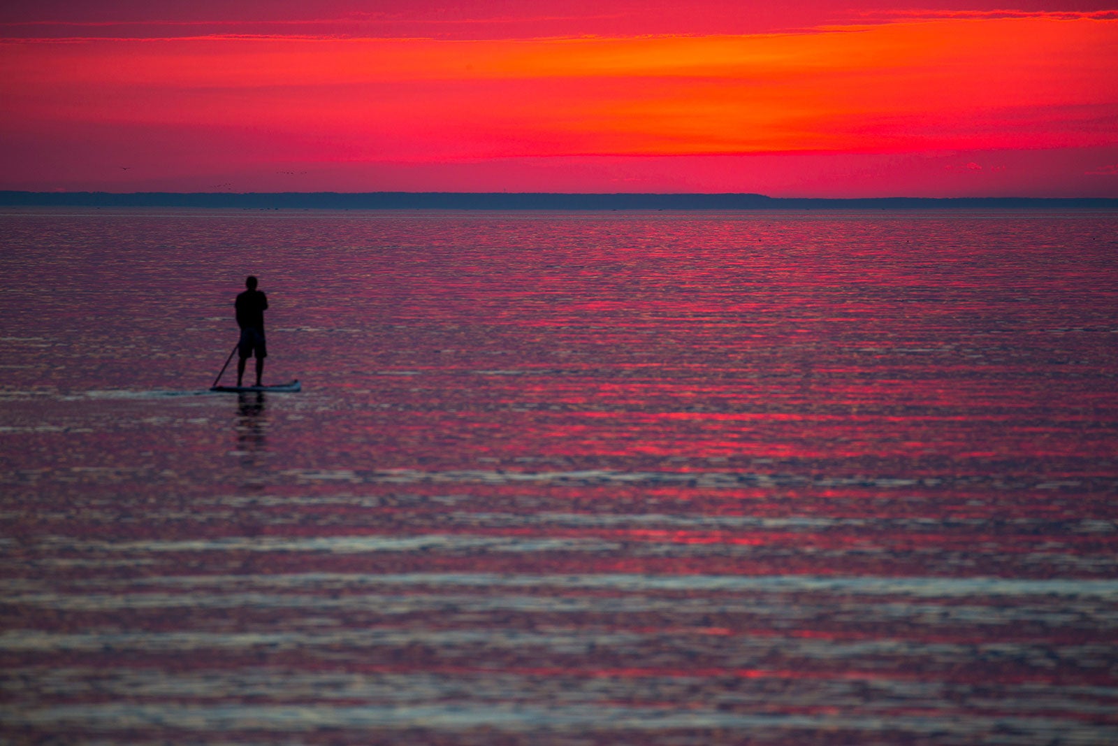 10-best-beaches-in-ontario-what-is-the-best-beach-in-ontario-go-guides