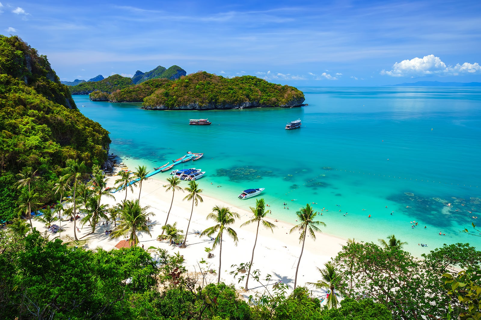 Beach and Coconut Trees on an Island of Mu Ko Ang Thong National Marine  Park Near Ko Samui in Gulf of Thailand Stock Image - Image of natural,  ocean: 80558303