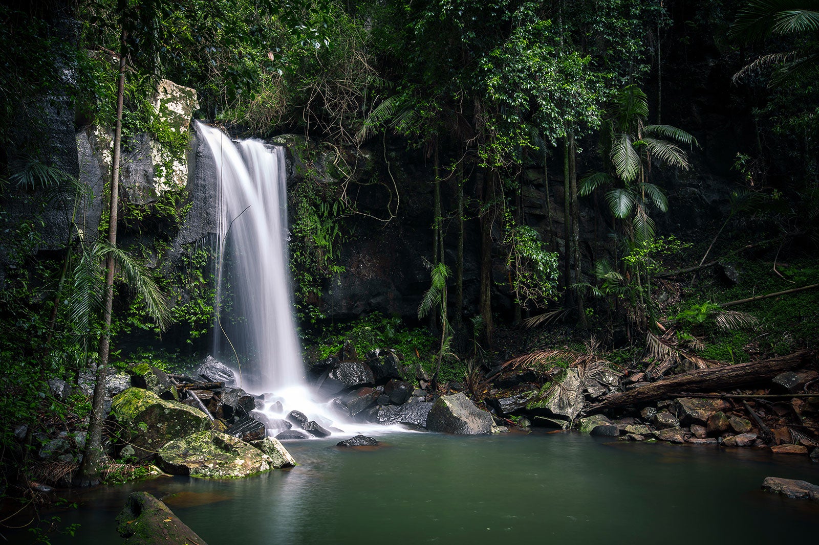 10 Best Things to Do After Dinner in Gold Coast Where to Go on the Gold Coast at Night? Go