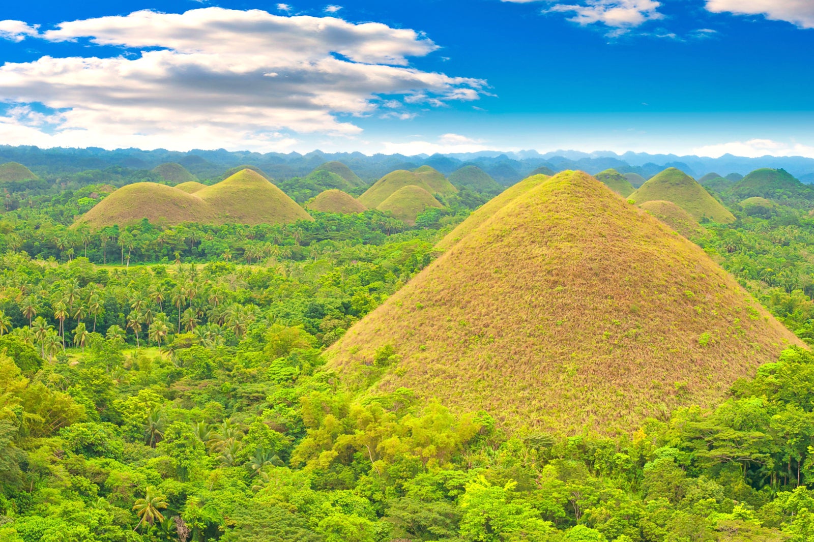 chocolate hills tourist description