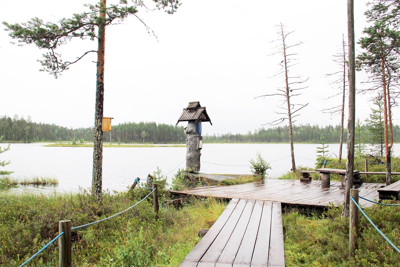 Suomen suosituimmat vaellusreitit - Vie lapset hauskalle metsäretkelle tai  katoa Lapin maagisiin erämaihin – Go Guides