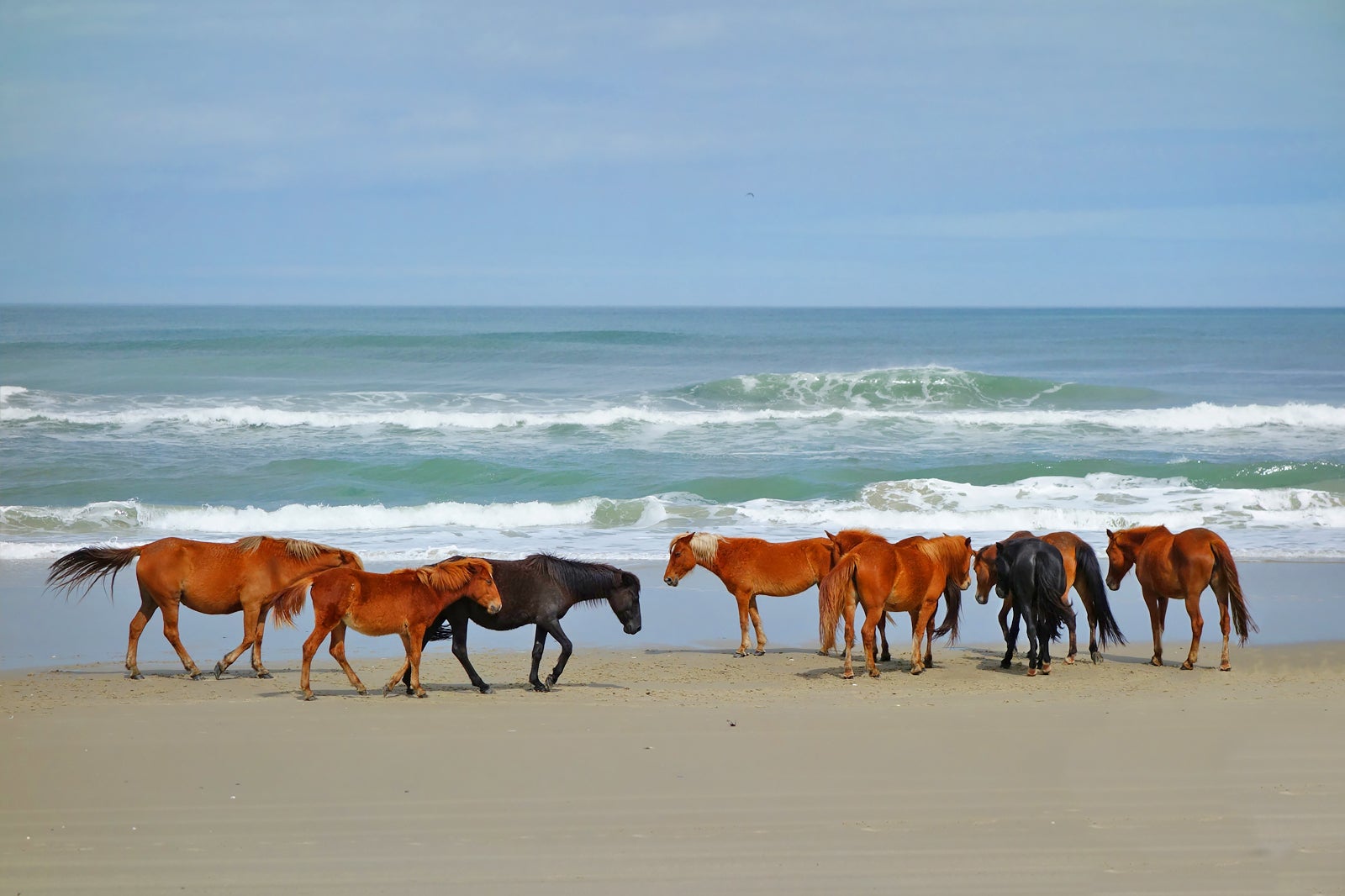 10 Best Beaches in Outer Banks Discover the Top Beach Areas in Outer