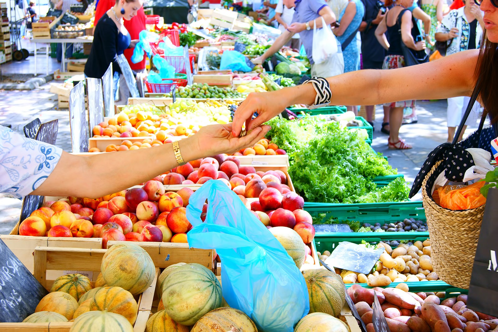 10 Best Markets in Montpellier Where to Go Shopping Like a Local in