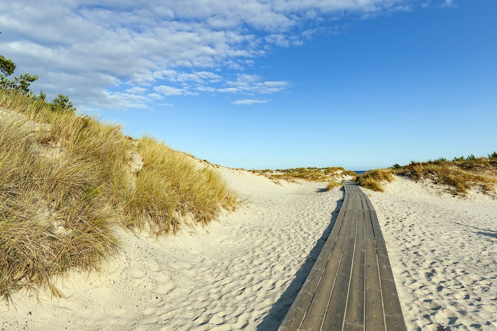 10-best-beaches-in-sweden-what-is-the-most-popular-beach-in-sweden