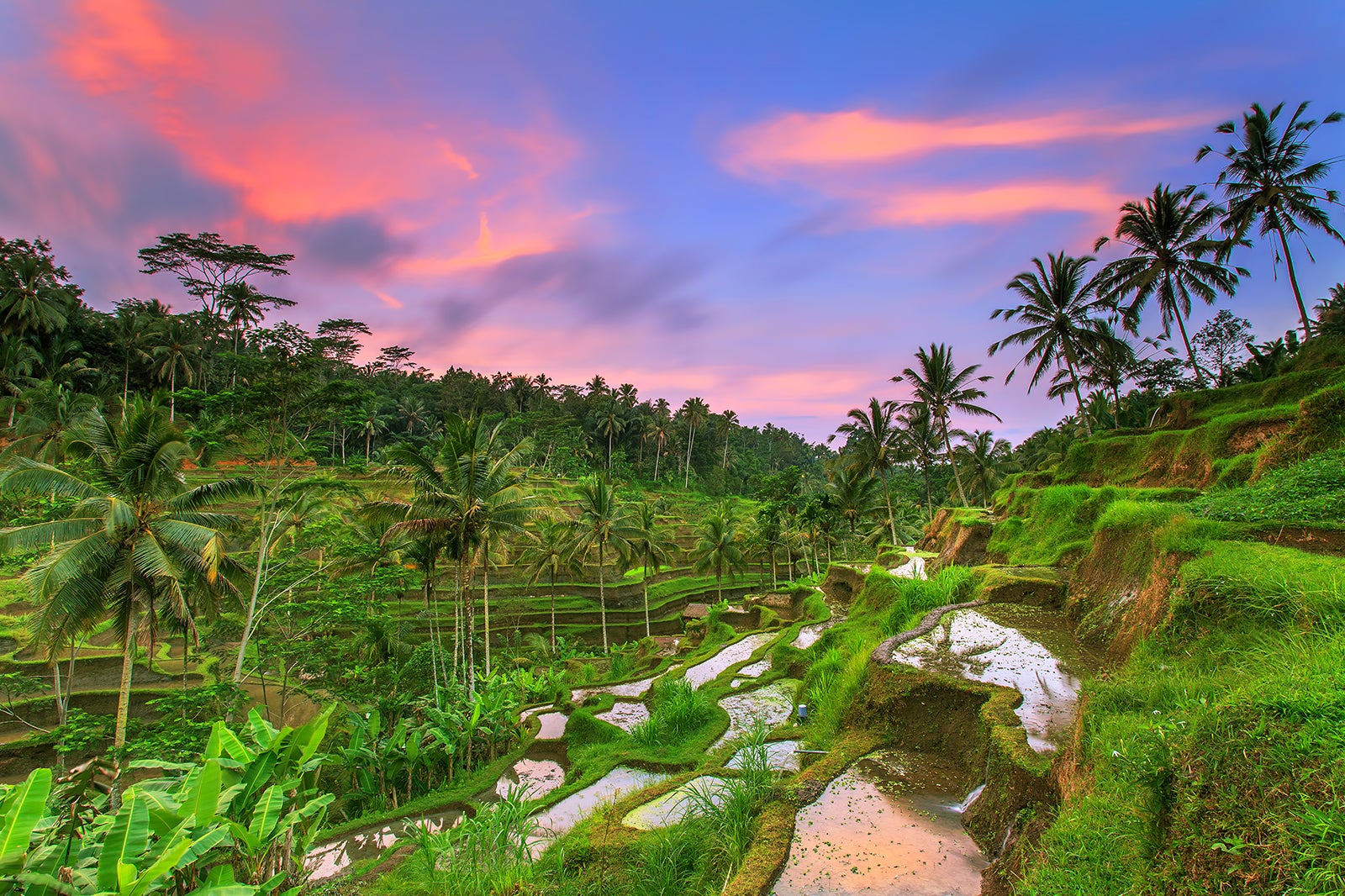 12 Reasons Why Ubud is Better Than the Beach - Why You Should Really ...