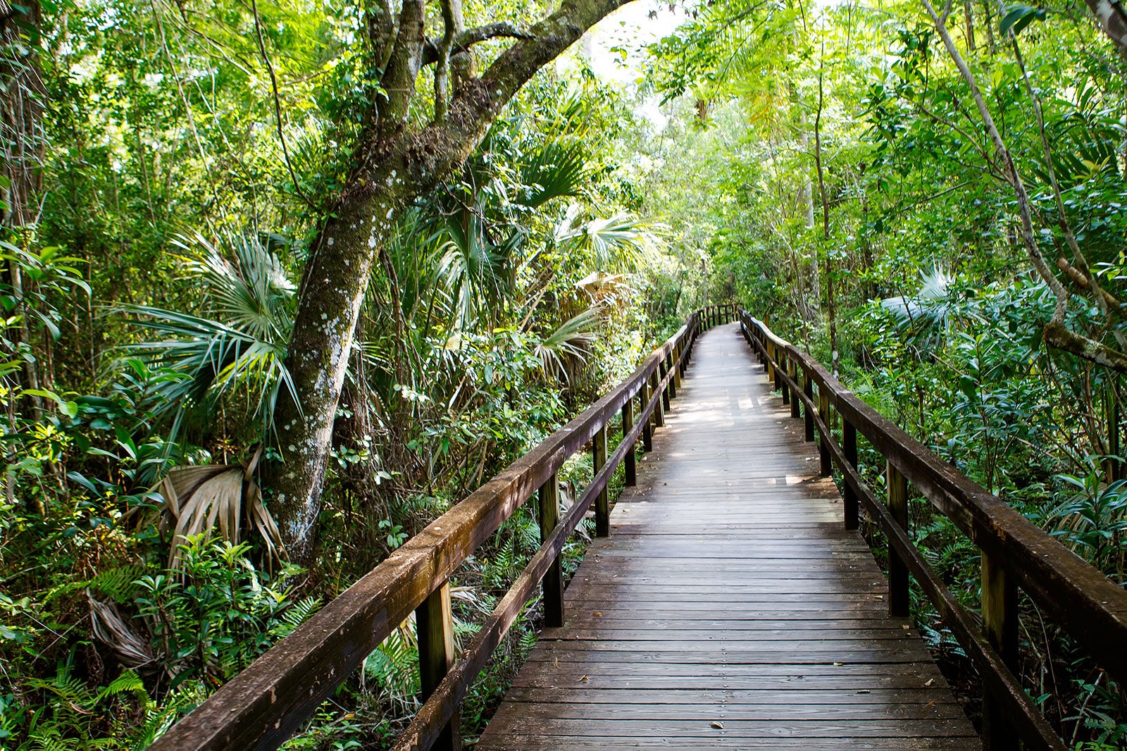 10 Best National Parks in Florida - 544053d3 272c 424c 8aa2 180eb7bbb09d 