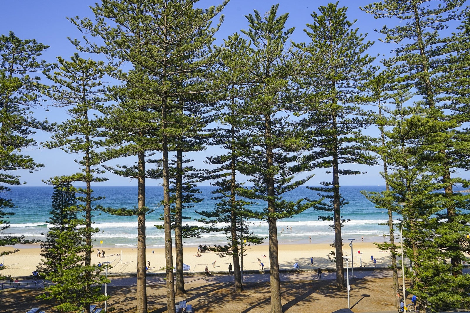 10 Best Beaches In Sydney Which Sydney Beach Is Right For You Go Guides