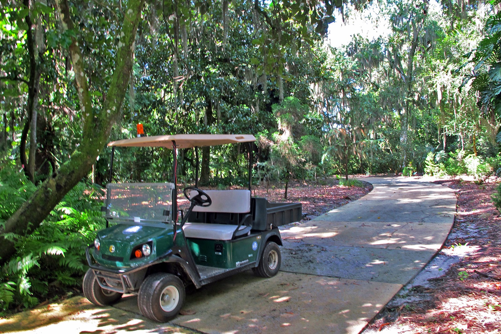 Harry P Leu Gardens Orlando Botanical Garden In Orlando