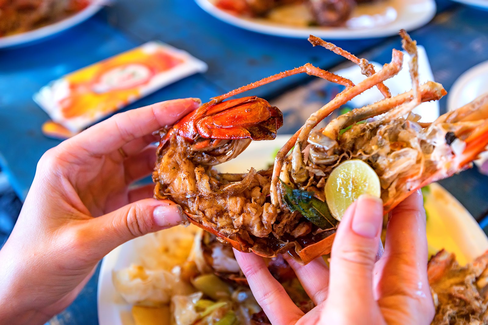 10 Great Restaurants in Corsica Where to Eat in Corsica and What to