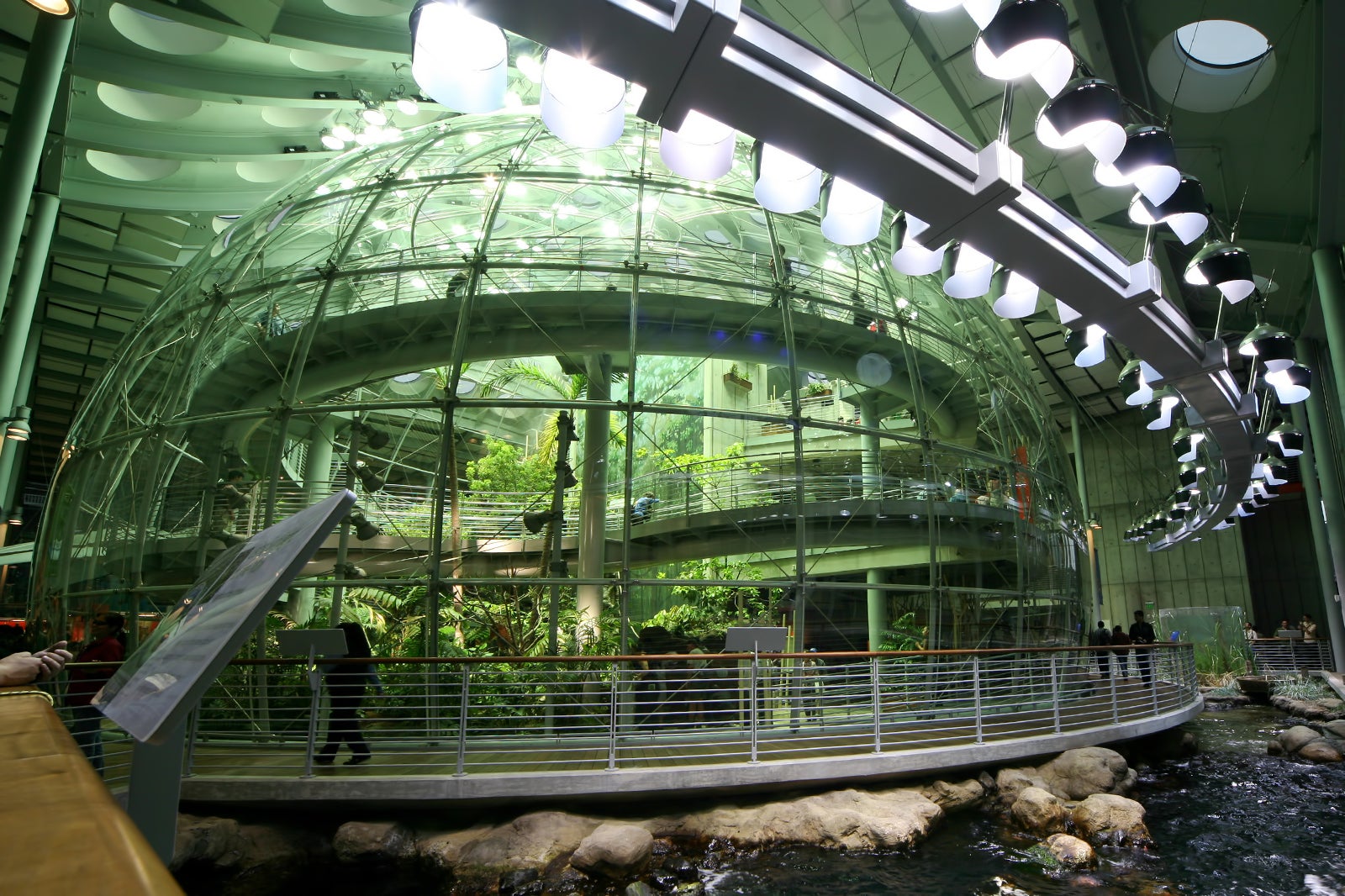 California Academy Of Sciences In San Francisco - Discover One Of The ...