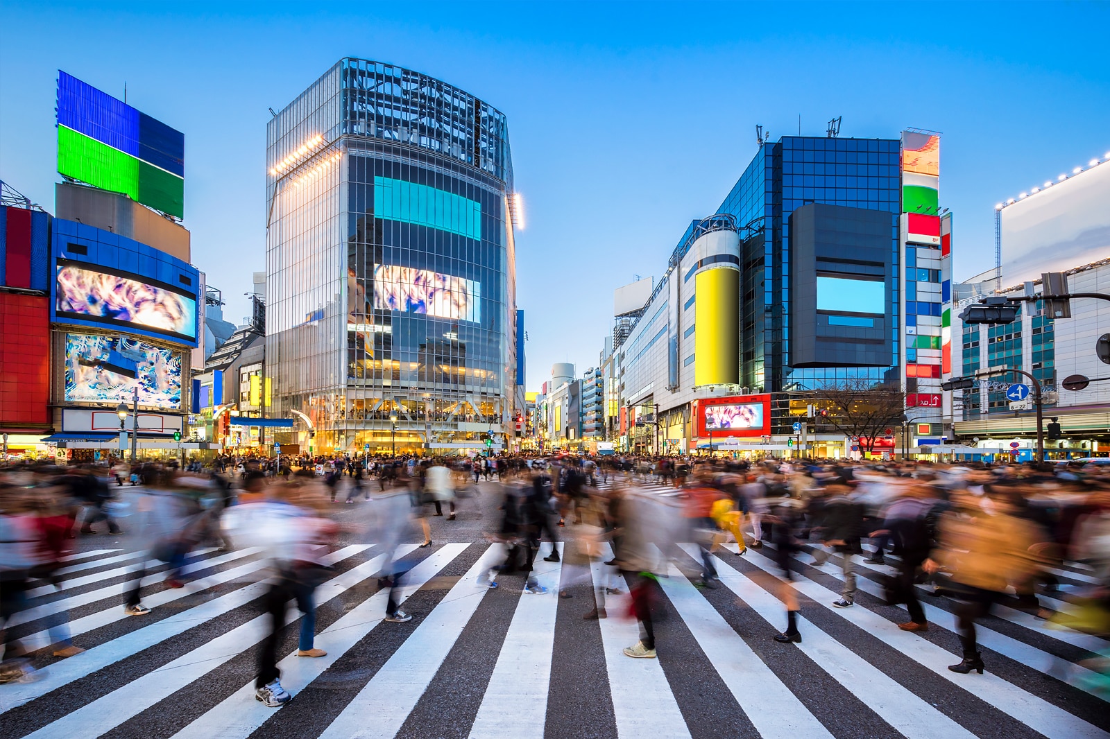 29 Best Places to Go Shopping in Tokyo - Where to Shop in Tokyo and What to  Buy? – Go Guides