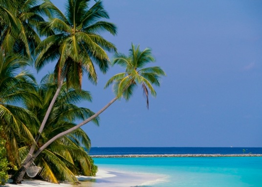 Cavelossim, India