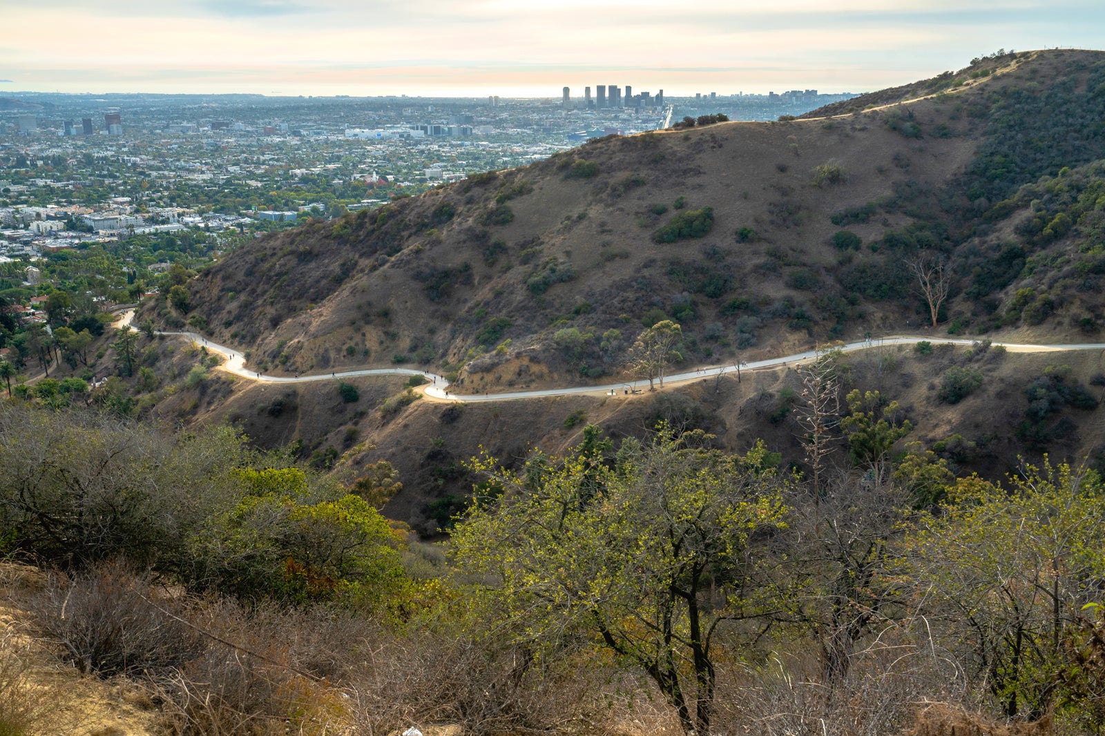 Runyon Canyon Park in Los Angeles - Explore the Beauty of Los Angeles ...