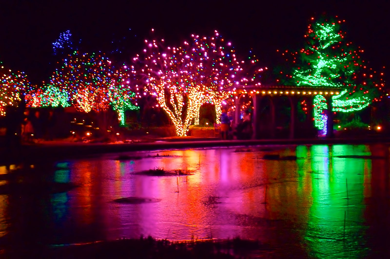 Mutiny Cafe Denver Christmas Spectacular 2022 10 Best Things To Do After Dinner In Denver - Where To Go In Denver At  Night? - Go Guides