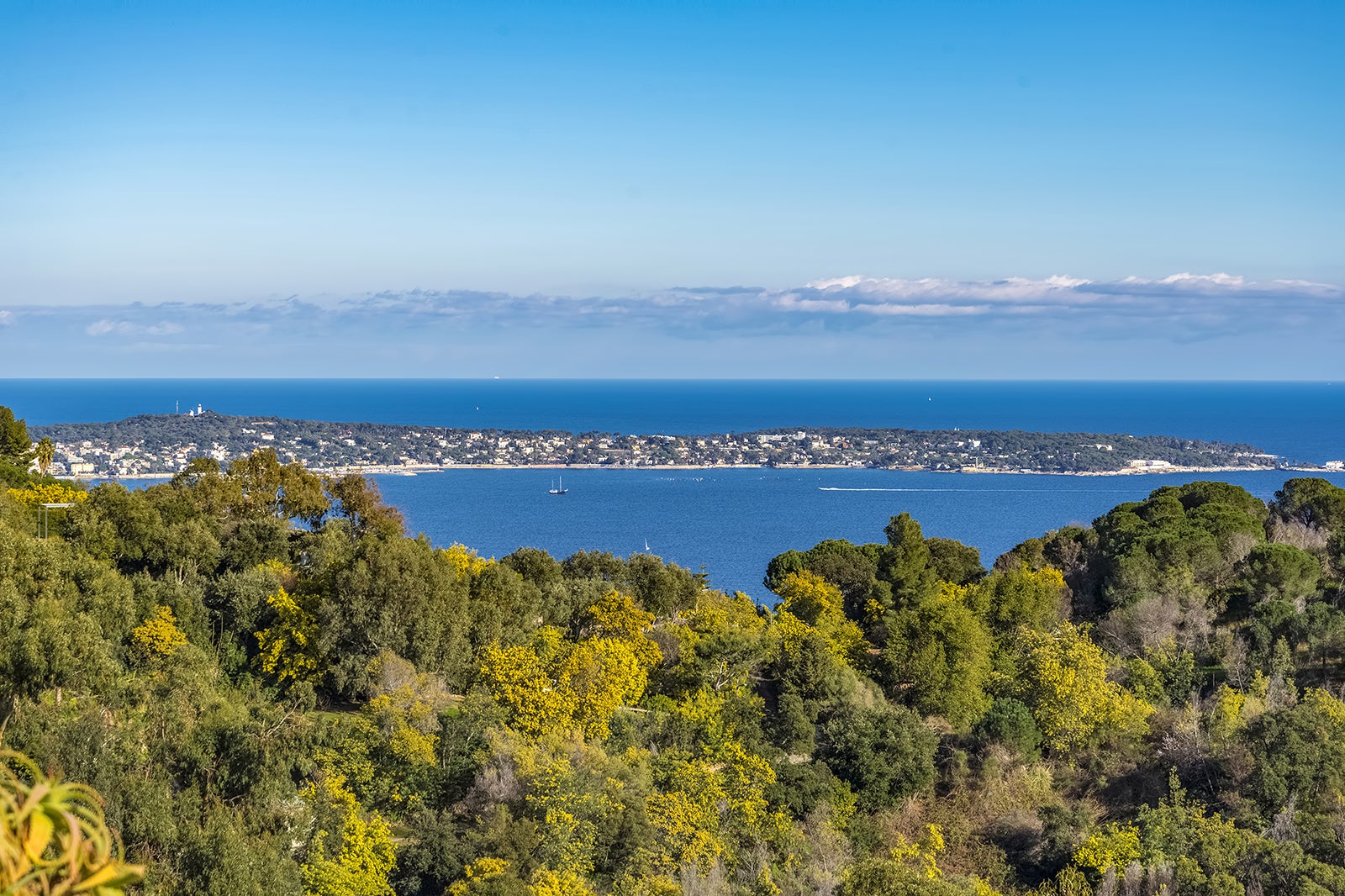 Croix des Gardes Forest Park in Cannes - View Native Wildflowers and ...