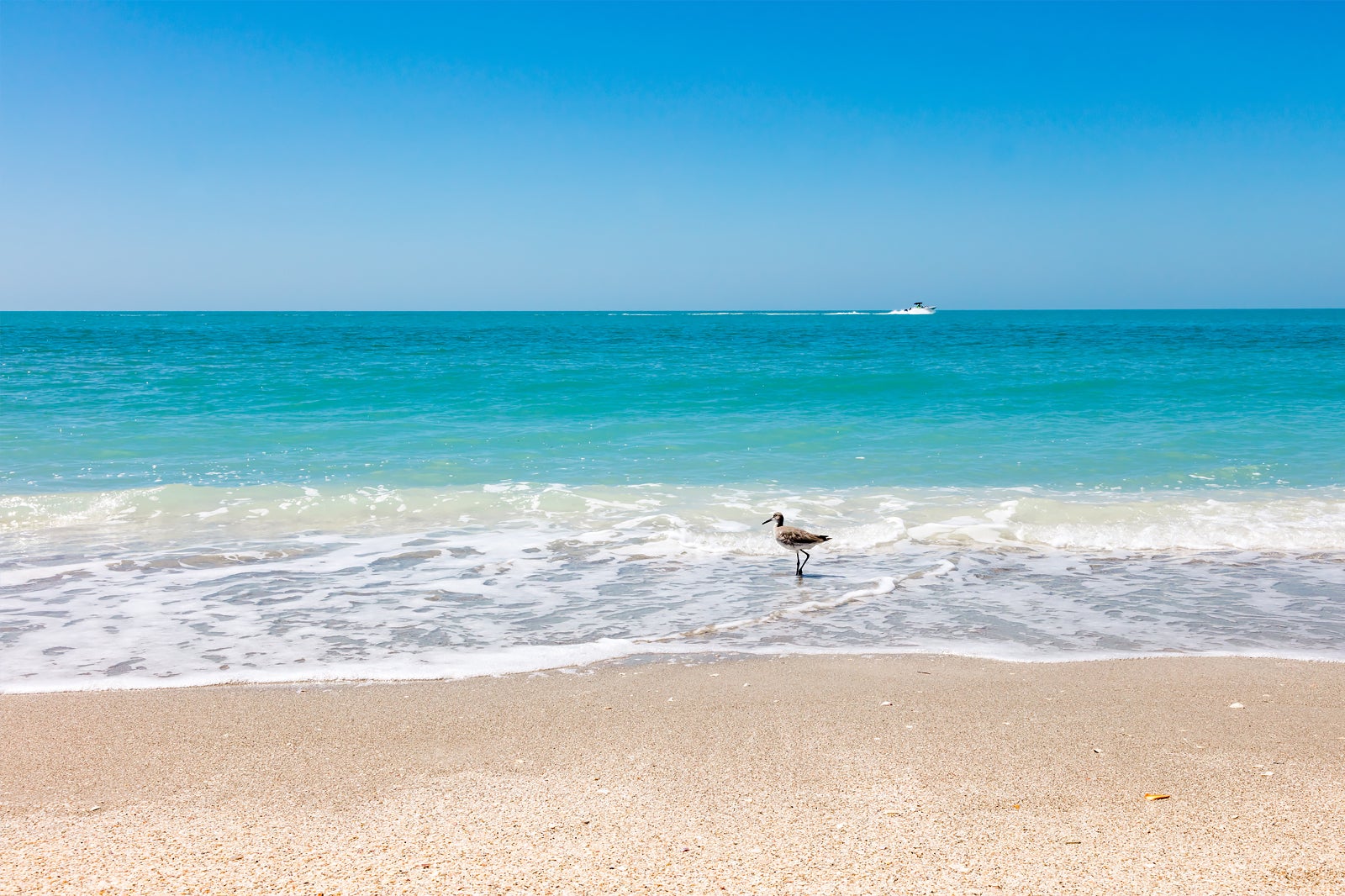 9 Best Beaches On Sanibel Captiva Island - Check Out The Top Beach ...